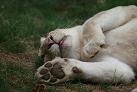 moment de d�tente